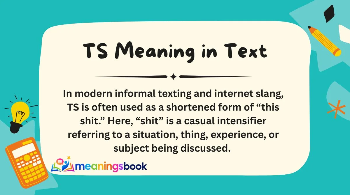 TS Meaning in Text