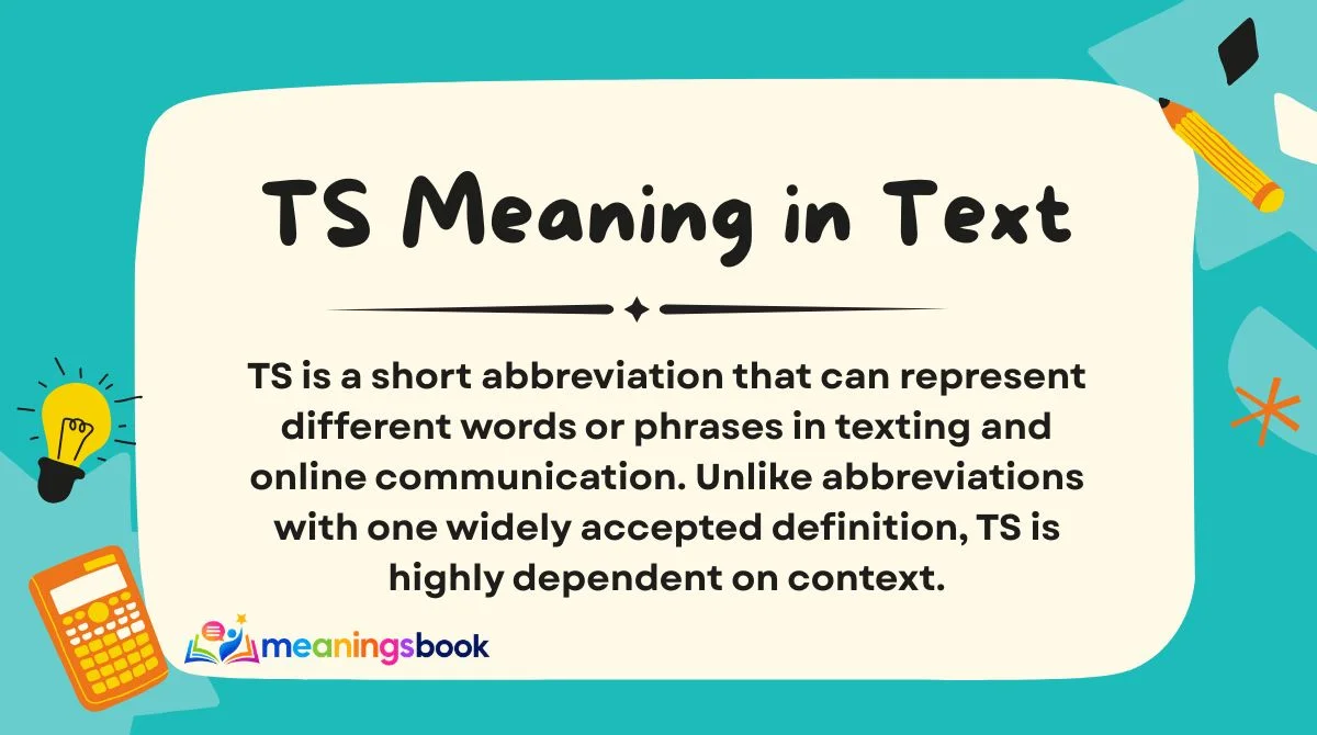 TS Meaning in Text