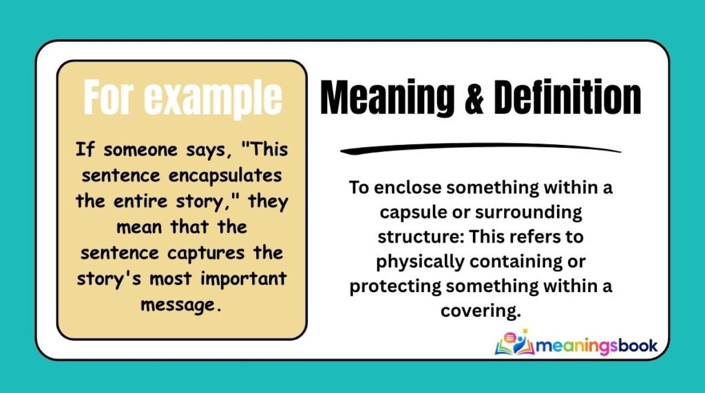 Meaning & Definition